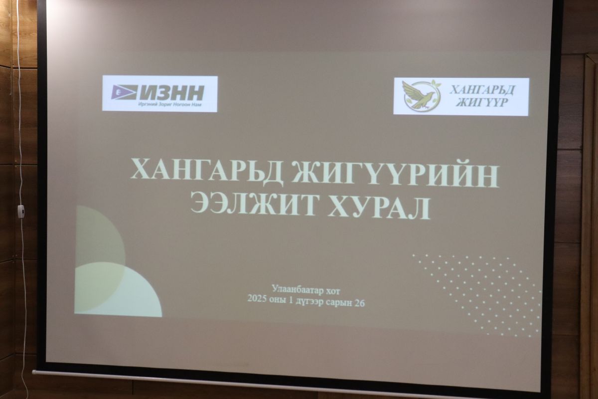 ИЗНН-ыг Батын Батбаатар төлөөлөхгүй гэв